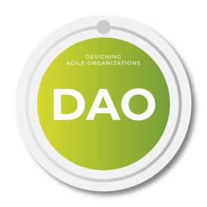 Designing Agile Organization badge