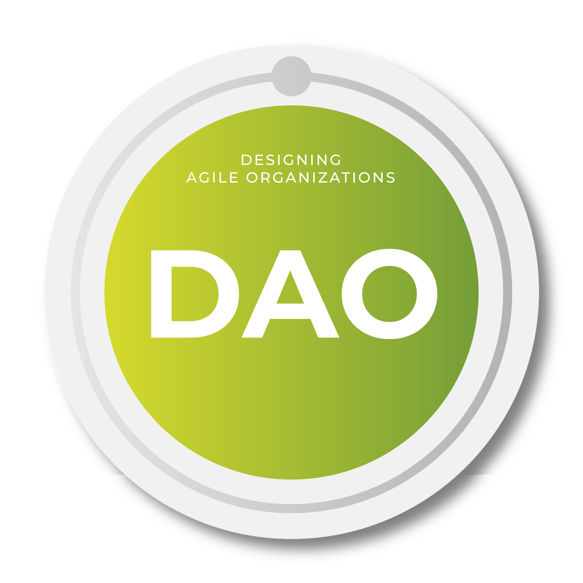 Designing Agile Organization badge